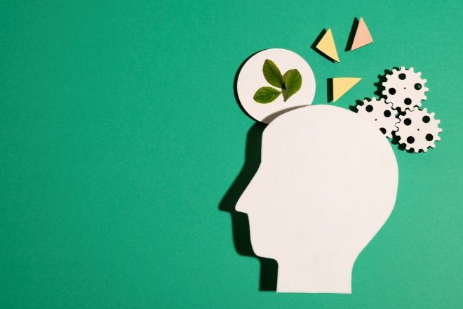 COR1018 - CRITICAL THINKING