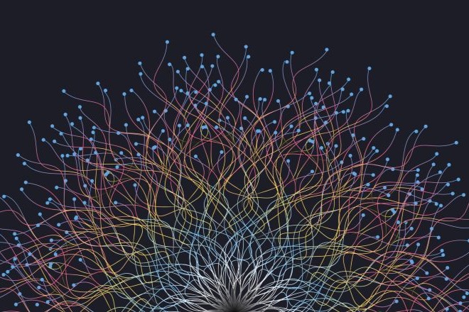 IAR6003 – COMPLEX NETWORKS AND MIND, BRAIN AND MACHINES 